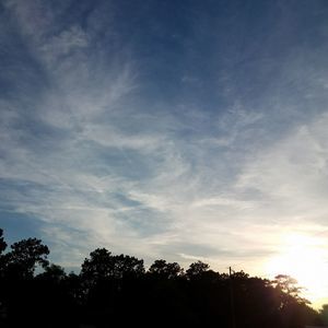 Meet your Posher, Cory